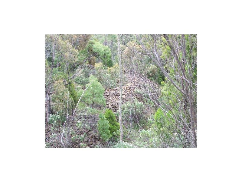 1420 Batlow Road, Tumbarumba NSW 2653