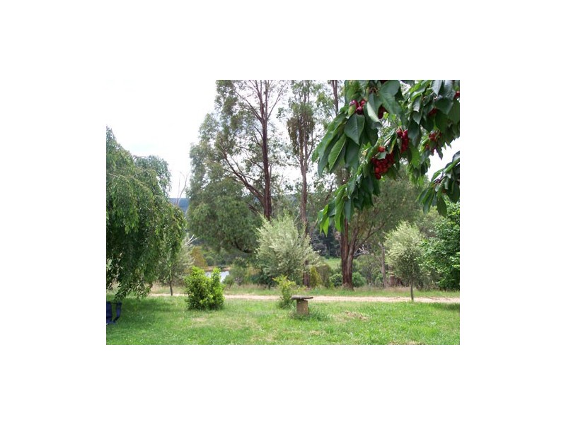 1420 Batlow Road, Tumbarumba NSW 2653