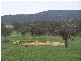 0  Ournie Road, Tumbarumba NSW 2653