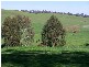 00  Carabost Road, Tumbarumba NSW 2653