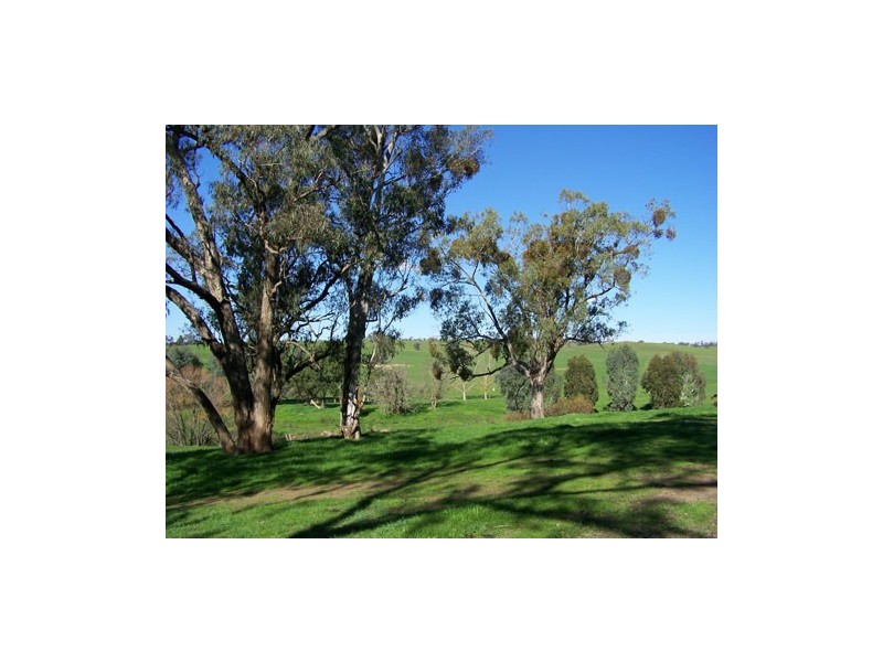 00  Carabost Road, Tumbarumba NSW 2653