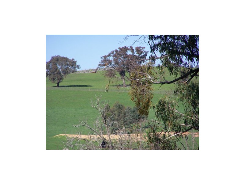 00  Carabost Road, Tumbarumba NSW 2653