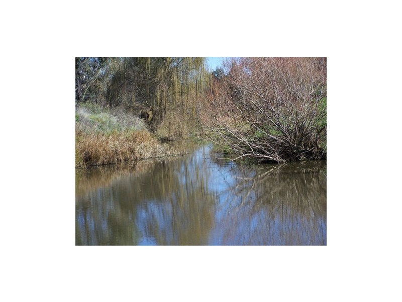 00  Carabost Road, Tumbarumba NSW 2653