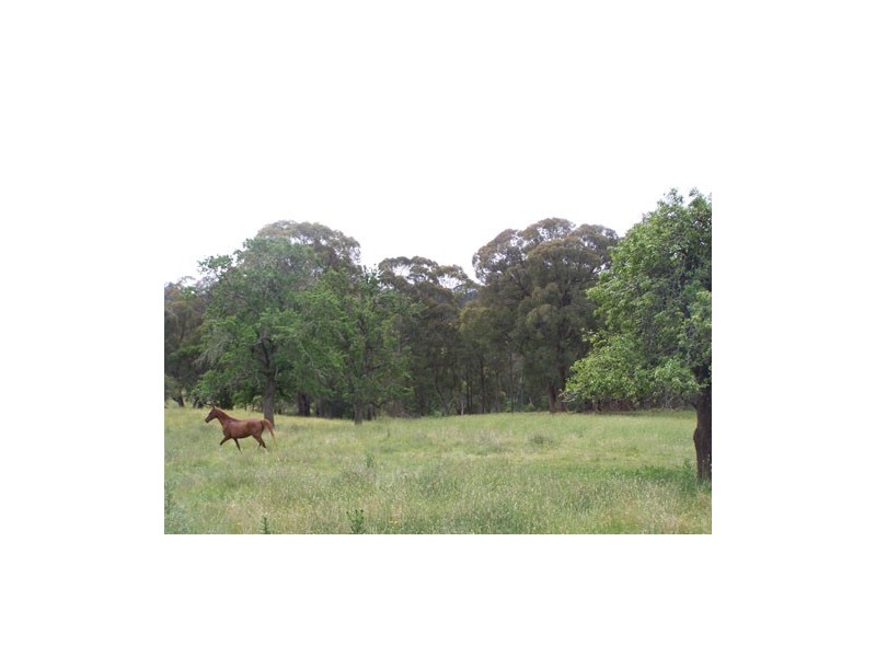 69  Bago Forest Road, Tumbarumba NSW 2653