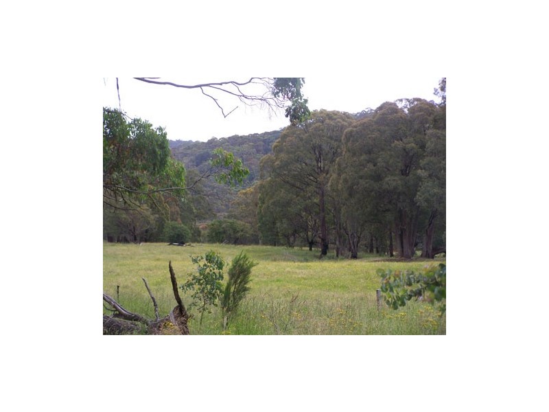 69  Bago Forest Road, Tumbarumba NSW 2653