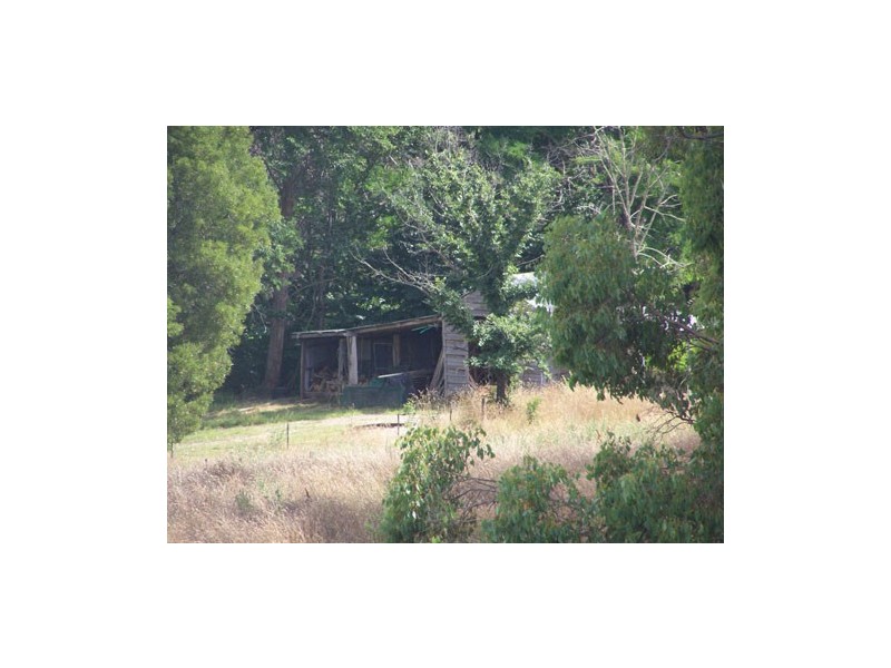215 Bago Forest Road, Tumbarumba NSW 2653