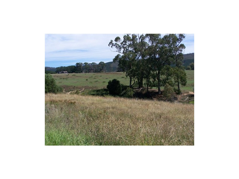 709  Taradale ARoad, Tumbarumba NSW 2653