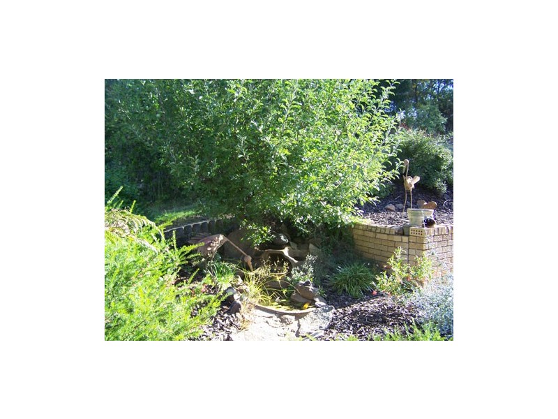 131  Batlow Road, Tumbarumba NSW 2653