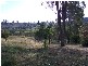 131  Batlow Road, Tumbarumba NSW 2653
