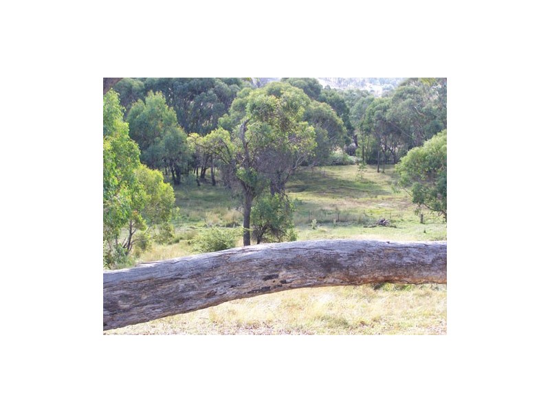 131  Batlow Road, Tumbarumba NSW 2653