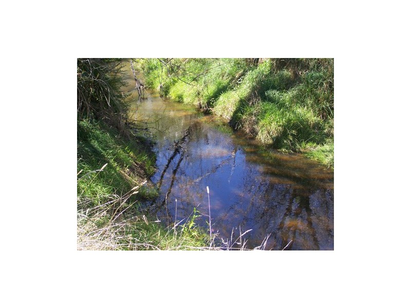 131  Batlow Road, Tumbarumba NSW 2653