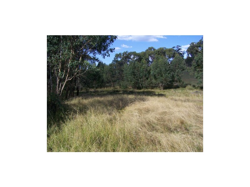 131  Batlow Road, Tumbarumba NSW 2653
