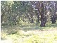 131  Batlow Road, Tumbarumba NSW 2653