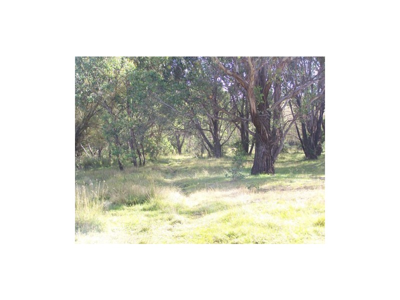 131  Batlow Road, Tumbarumba NSW 2653