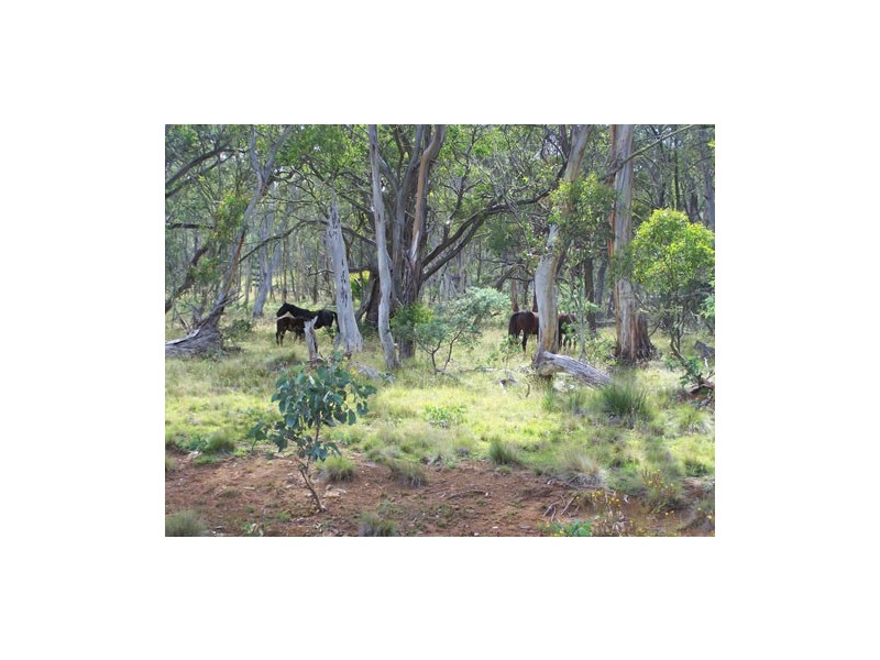Lot 5  Bradleys Drive, McPhersons Plain, Tumbarumba NSW 2653