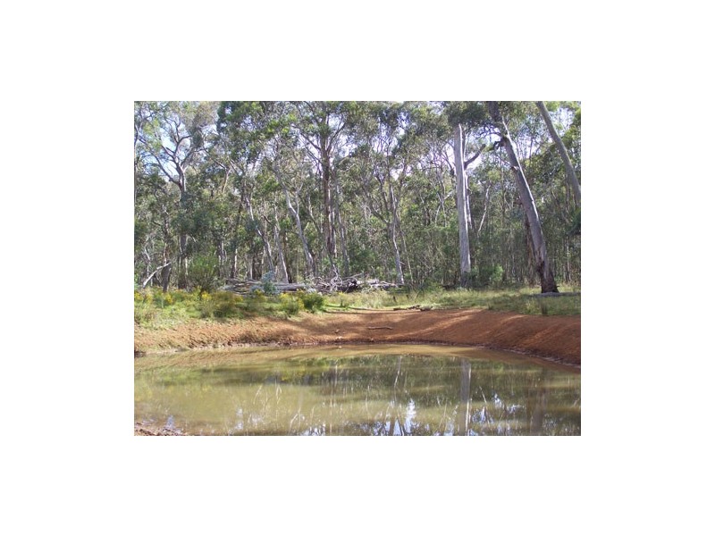 Lot 5  Bradleys Drive, McPhersons Plain, Tumbarumba NSW 2653
