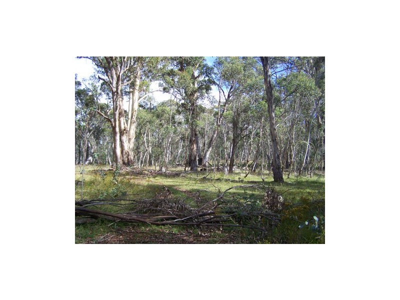 Lot 5  Bradleys Drive, McPhersons Plain, Tumbarumba NSW 2653