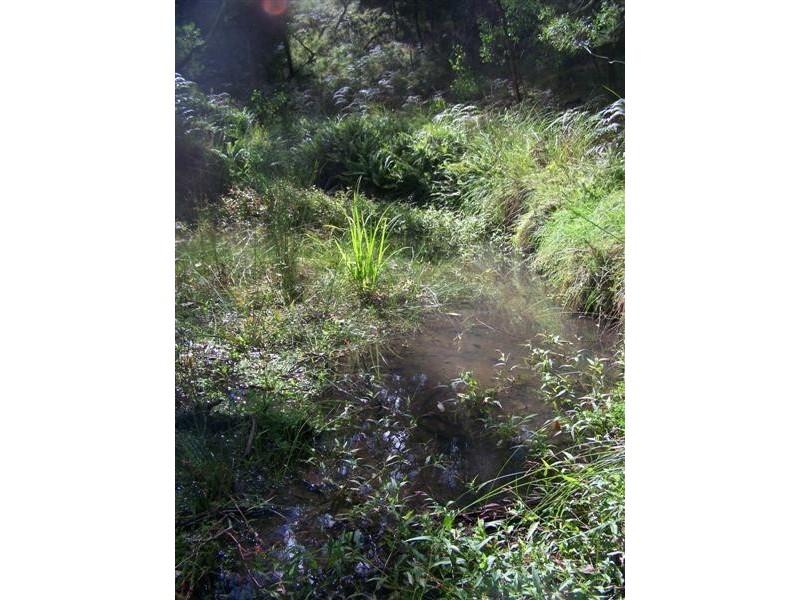 0  Yenschs Road, Tumbarumba NSW 2653