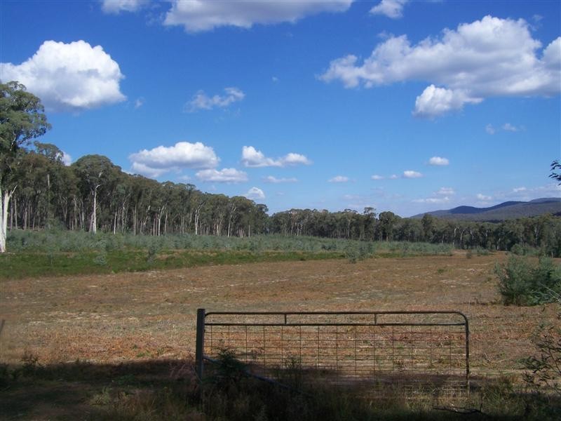0  Yenschs Road, Tumbarumba NSW 2653