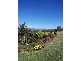 80 Camden Park Road, Tumbarumba NSW 2653
