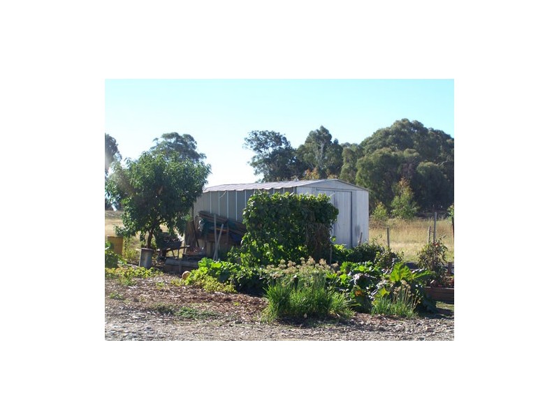 80 Camden Park Road, Tumbarumba NSW 2653