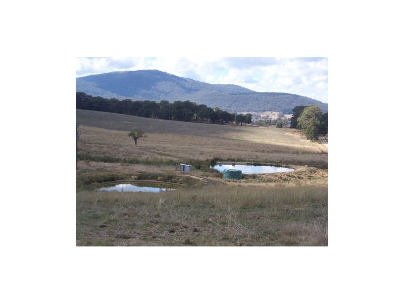 80 Camden Park Road, Tumbarumba NSW 2653
