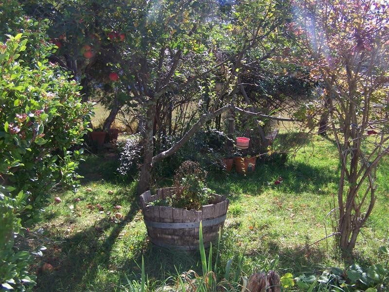 1593  Wagga Road, Rosewood NSW 2652