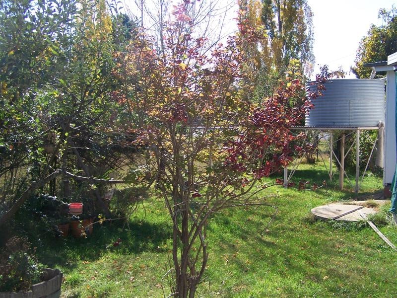 1593  Wagga Road, Rosewood NSW 2652