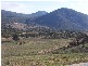 Block 10  River Road, Jingellic NSW 2642