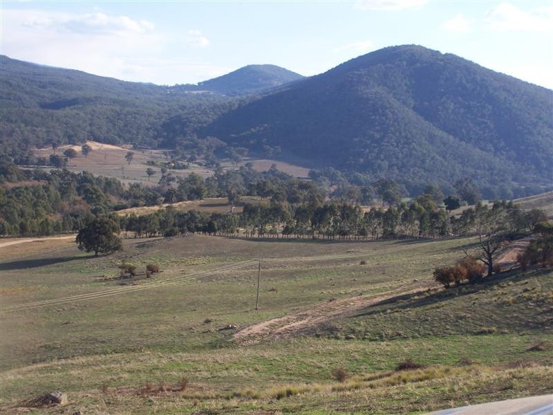 Block 10  River Road, Jingellic NSW 2642