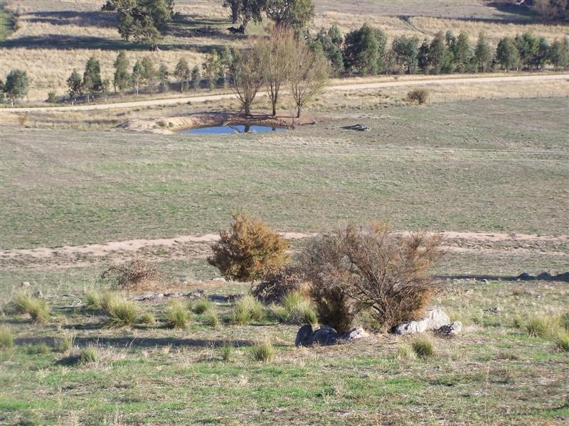 Block 10  River Road, Jingellic NSW 2642