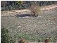 Block 10  River Road, Jingellic NSW 2642