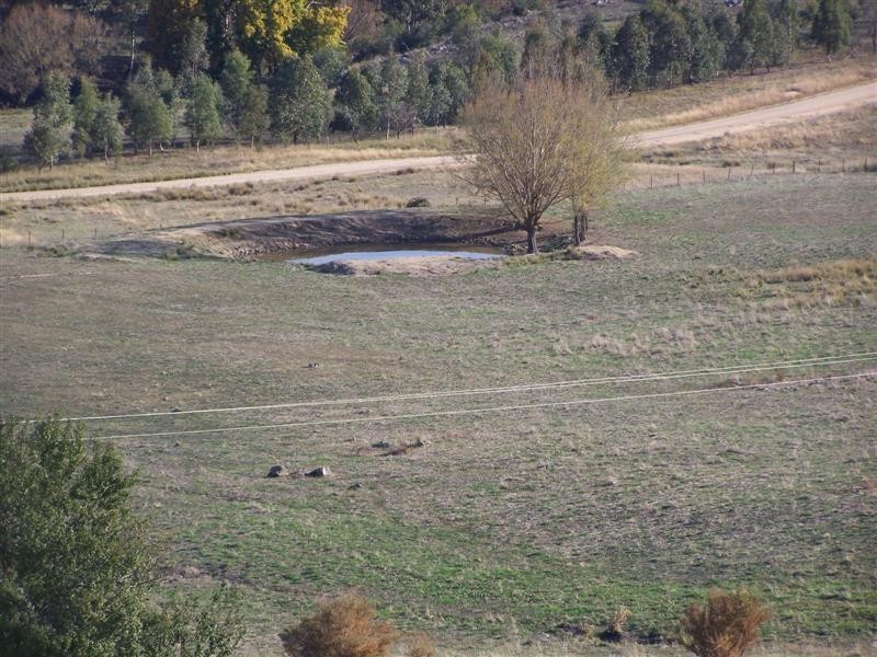 Block 10  River Road, Jingellic NSW 2642