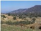 Block 10  River Road, Jingellic NSW 2642