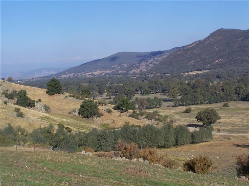 Block 10  River Road, Jingellic NSW 2642