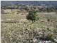 Block 10  River Road, Jingellic NSW 2642