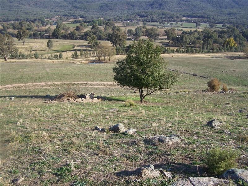 Block 10  River Road, Jingellic NSW 2642