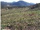 Block 10  River Road, Jingellic NSW 2642