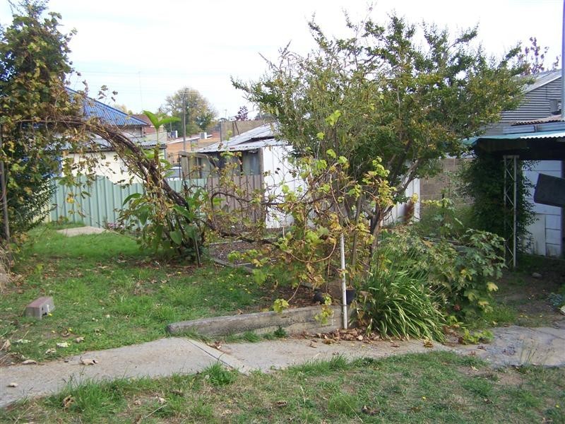 62 The Parade, Tumbarumba NSW 2653