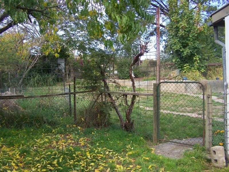 62 The Parade, Tumbarumba NSW 2653