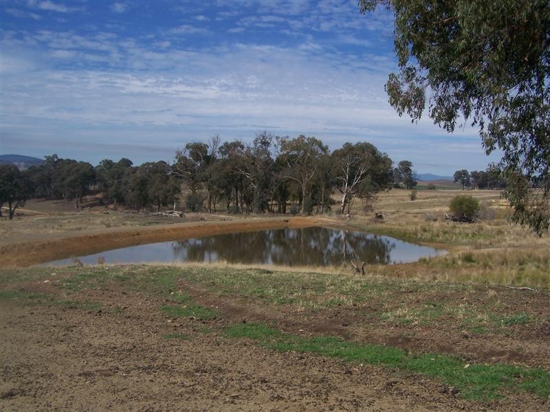 LOTS 93, 94 & MURRAY’S CROSSING, Tumbarumba NSW 2653
