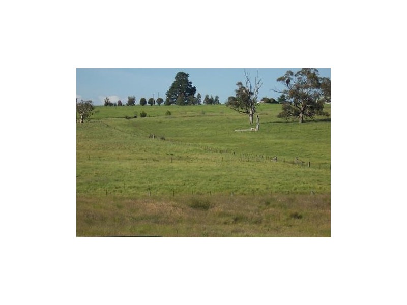Lot 12 Albury Street, Tumbarumba NSW 2653