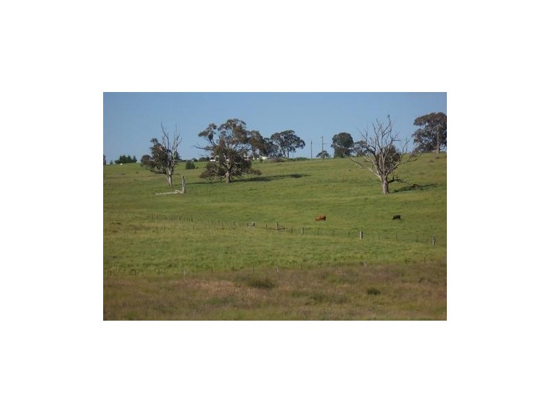 Lot 13  Albury Street, Tumbarumba NSW 2653