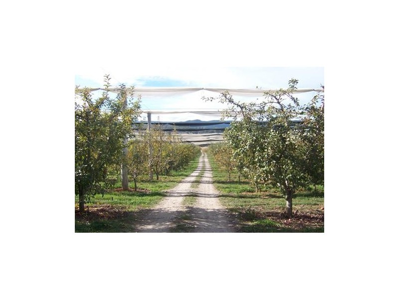 Lot 172 Willigobung Road, Tumbarumba NSW 2653