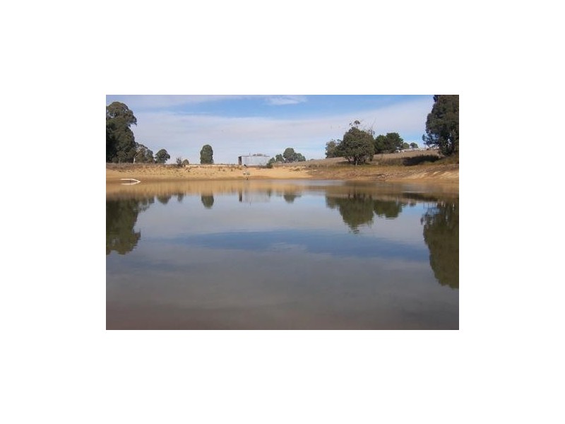 Lot 172 Willigobung Road, Tumbarumba NSW 2653