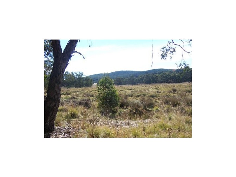 Lot 172 Willigobung Road, Tumbarumba NSW 2653