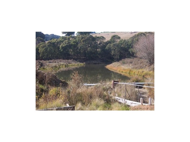 Lot 172 Willigobung Road, Tumbarumba NSW 2653