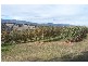 Lot 172 Willigobung Road, Tumbarumba NSW 2653