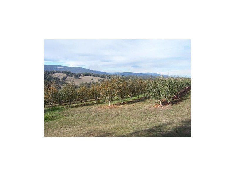 Lot 172 Willigobung Road, Tumbarumba NSW 2653