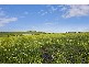 90 Eleven Mile Drive, Bathurst NSW 2795
